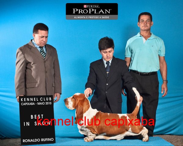 Clique sobre a foto para fechar